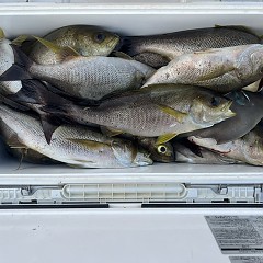 7月1日（火）午後便・イサキ釣りの写真その6
