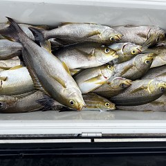 7月 2日（水）午前便・イサキ釣りの写真その7