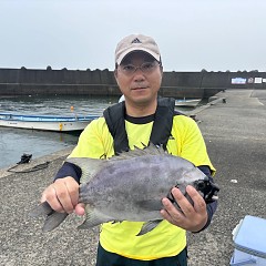 7月2日（水）午前便・イシダイ釣りの写真その7