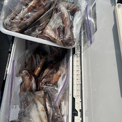 7月 3日（木）一日便・スルメイカ釣りの写真その6