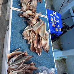 7月 3日（木）一日便・スルメイカ釣りの写真その8