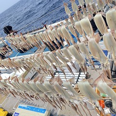 7月 6日（日）一日便・スルメイカ釣りの写真その7