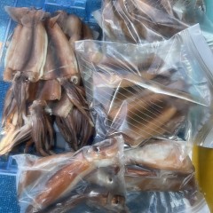 7月 6日（日）一日便・スルメイカ釣りの写真その8