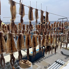 7月 6日（日）一日便・スルメイカ釣りの写真その9