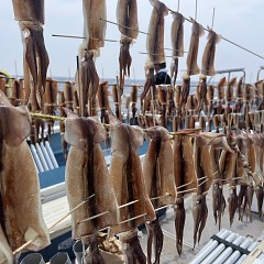 7月 6日（日）一日便・スルメイカ釣りの写真その10