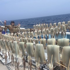 7月 7日（月）一日便・スルメイカ釣りの写真その7