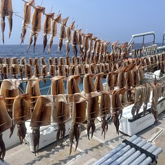 7月 7日（月）一日便・スルメイカ釣りの写真その8