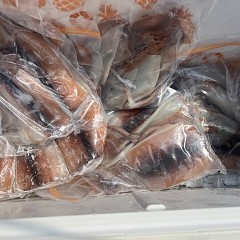 7月 7日（月）一日便・スルメイカ釣りの写真その11