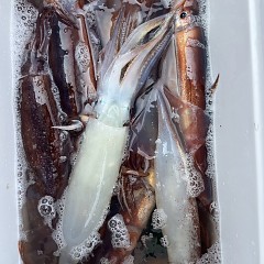 7月 7日（月）一日便・スルメイカ釣りの写真その12