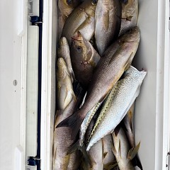 7月7日（月）午後便・イサキ釣りの写真その6