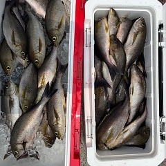 7月8日（火）午前便・イサキ釣りの写真その5