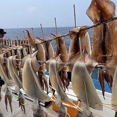 7月 9日（水）一日便・スルメイカ釣りの写真その6