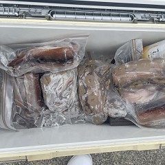 7月 11日（金）一日便・スルメイカ釣りの写真その2