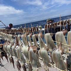 7月 12日（土）一日便・スルメイカ釣りの写真その7