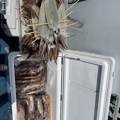 7月 12日（土）一日便・スルメイカ釣りの写真その8
