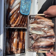 7月 12日（土）一日便・スルメイカ釣りの写真その11