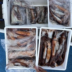 7月 12日（土）一日便・スルメイカ釣りの写真その12