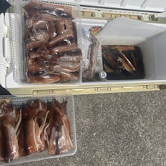 7月 13日（日）一日便・スルメイカ釣りの写真その7