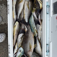 7月20日（日）午前・午後便・イサキ釣りの写真その4