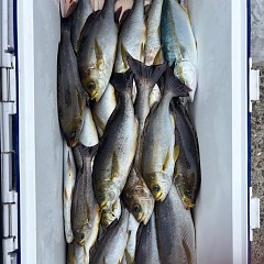 7月20日（日）午前・午後便・イサキ釣りの写真その9