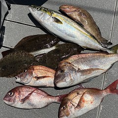 7月22日（火）午前便・タテ釣りの写真その5
