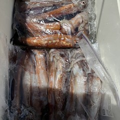 7月 26日（土）一日便・スルメイカ釣りの写真その10