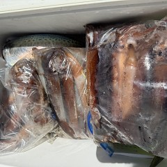 7月 26日（土）一日便・スルメイカ釣りの写真その11