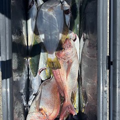7月26日（土）午前便・タテ釣りの写真その6