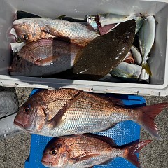 7月27日（日）午前便・タテ釣りの写真その3