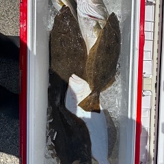 7月27日（日）午前便・タテ釣りの写真その4