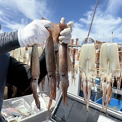 7月 27日（日）一日便・スルメイカ釣りの写真その4