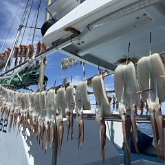 7月 27日（日）一日便・スルメイカ釣りの写真その7