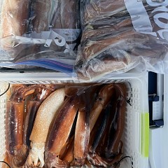 7月 27日（日）一日便・スルメイカ釣りの写真その10