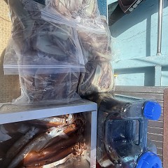 7月 27日（日）一日便・スルメイカ釣りの写真その11