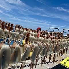 7月 28日（月）一日便・スルメイカ釣りの写真その6