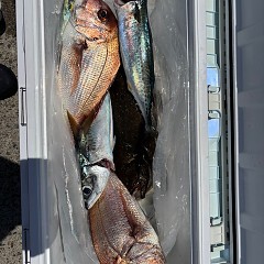 7月28日（月）午前便・タテ釣りの写真その9