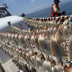 7月 29日（火）一日便・スルメイカ釣りの写真その8