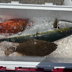 8月2日（土）午前便・タテ釣りの写真その9