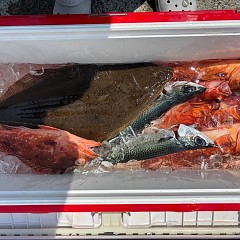 8月3日（日）午前便・タテ釣りの写真その11