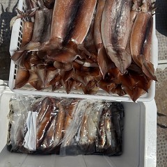 8月 3日（日）一日便・スルメイカ釣りの写真その6