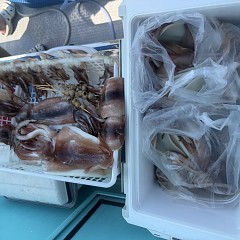 8月 3日（日）一日便・スルメイカ釣りの写真その10