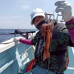 8月 3日（日）一日便・スルメイカ釣りの写真その12