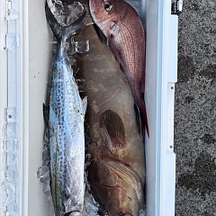 8月3日（日）午後便・タテ釣りの写真その10