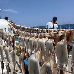 8月 5日（火）一日便・スルメイカ釣りの写真その8