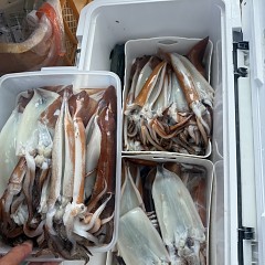 8月 5日（火）一日便・スルメイカ釣りの写真その11