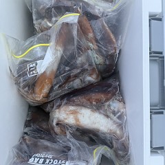 8月 5日（火）一日便・スルメイカ釣りの写真その12