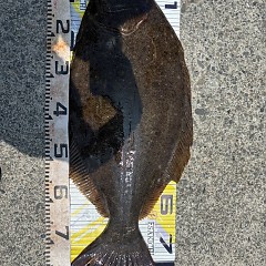 8月5日（火）午前便・タテ釣りの写真その2