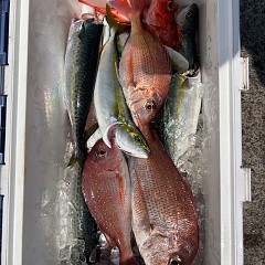 8月6日（水）午前便・タテ釣りの写真その3