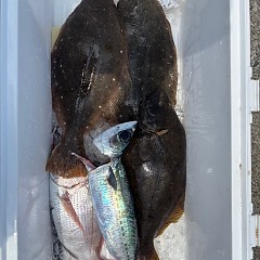 8月6日（水）午前便・タテ釣りの写真その5