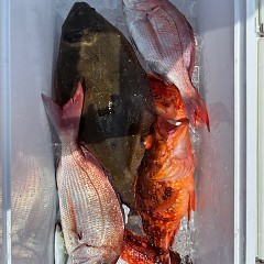 8月6日（水）午前便・タテ釣りの写真その6
